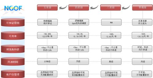 OTN精品專線成行業(yè)趨勢(shì)，謹(jǐn)防服務(wù)品質(zhì)“開(kāi)倒車(chē)” 信息系統(tǒng)集成服務(wù)的挑戰(zhàn)與應(yīng)對(duì)